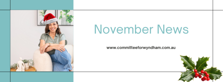 Newsletter November 2025